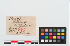 Etiketten zu Bronzebügelbesatzfibel (NHMW-PRAE-024998)
